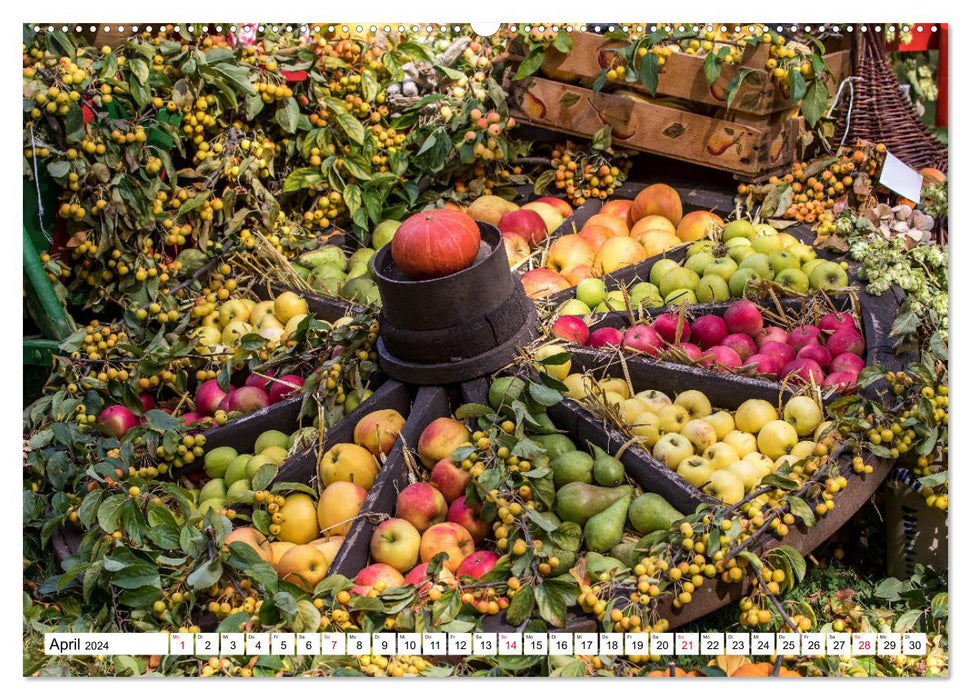 Frisches Obst und Gemüse (CALVENDO Premium Wandkalender 2024)