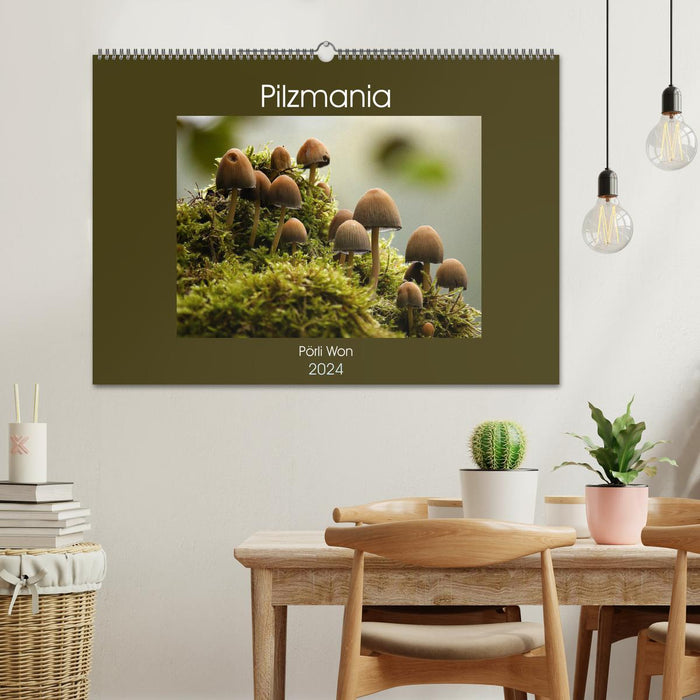 Mushroom Mania (CALVENDO Wall Calendar 2024) 