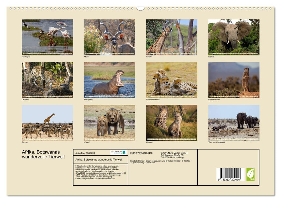 Afrique. La merveilleuse faune du Botswana (Calvendo Premium Wall Calendar 2024) 