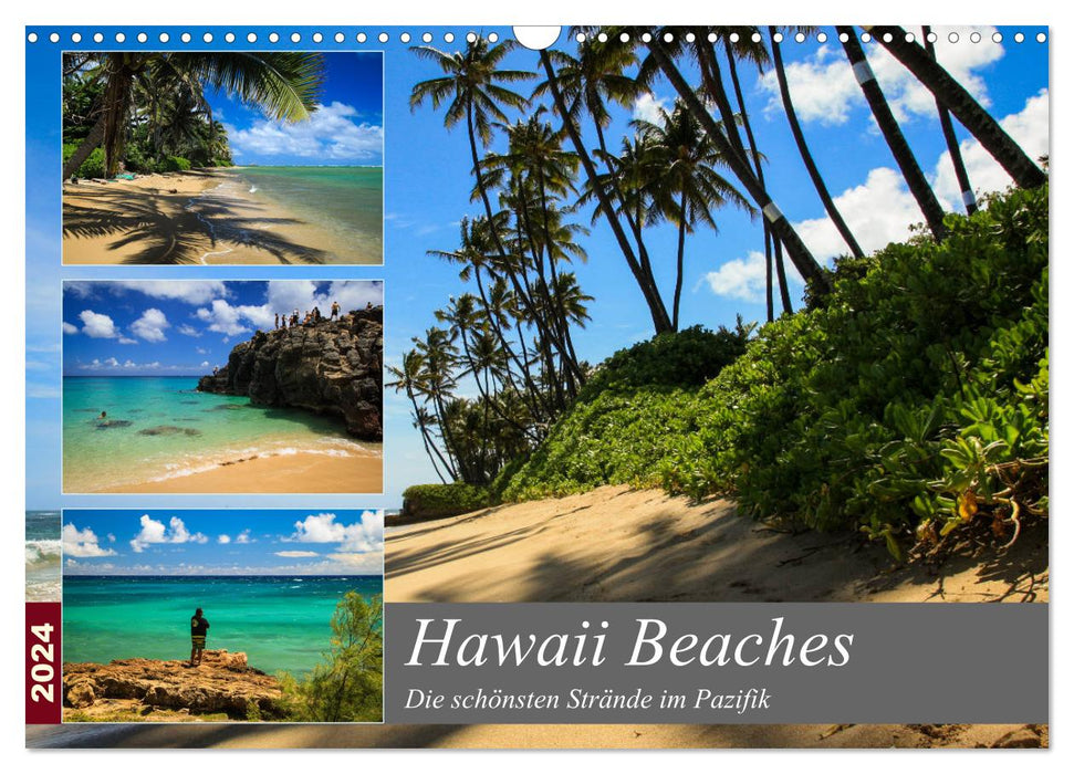 Hawaii Beaches - Die schönsten Strände im Pazifik (CALVENDO Wandkalender 2024)
