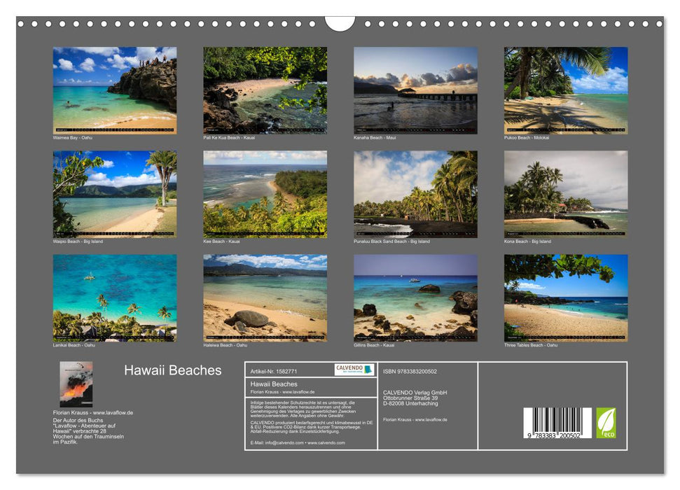 Plages d'Hawaï - Les plus belles plages du Pacifique (Calendrier mural CALVENDO 2024) 