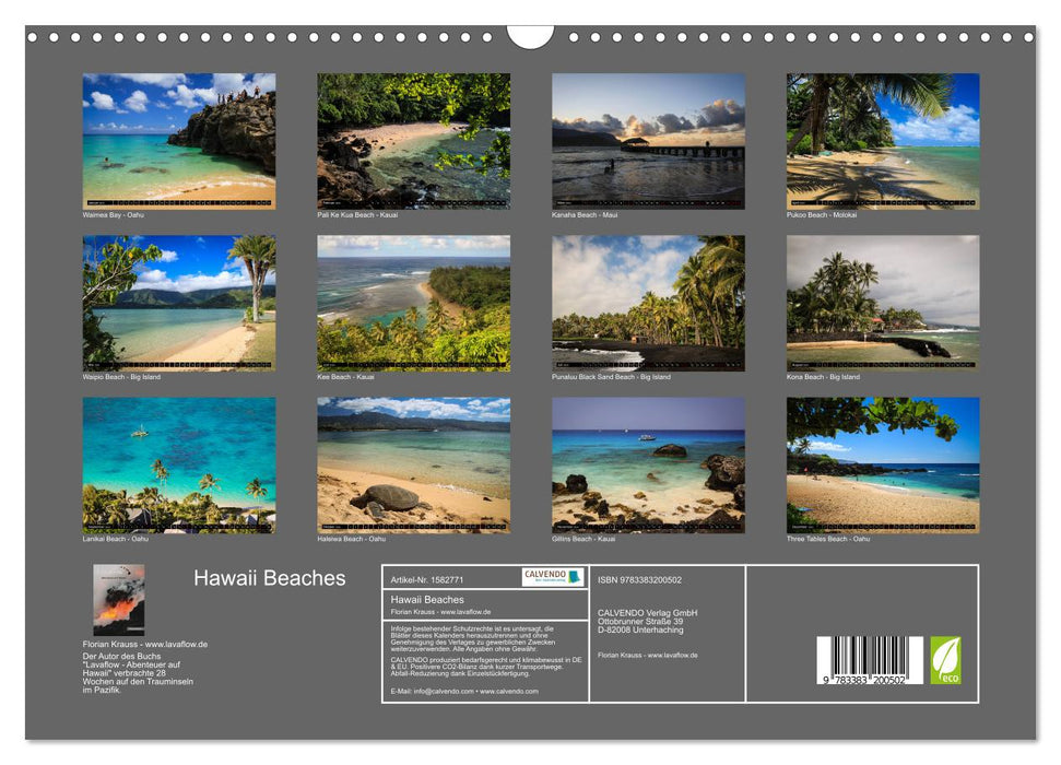 Hawaii Beaches - Die schönsten Strände im Pazifik (CALVENDO Wandkalender 2024)