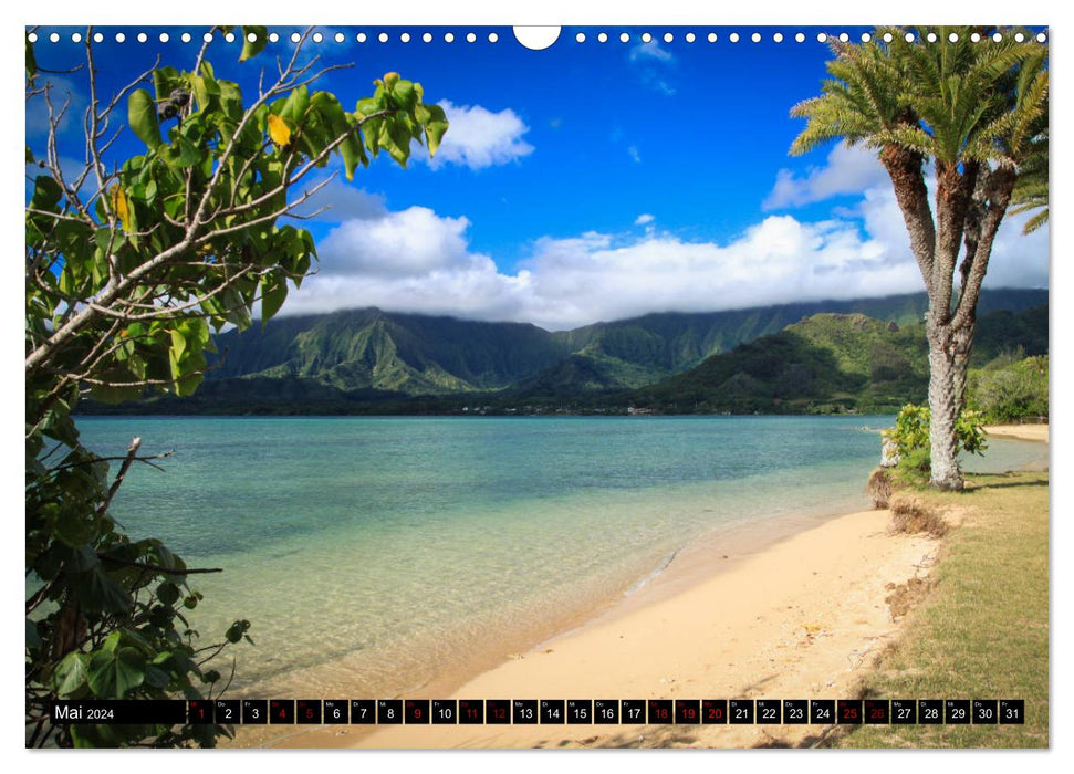 Plages d'Hawaï - Les plus belles plages du Pacifique (Calendrier mural CALVENDO 2024) 