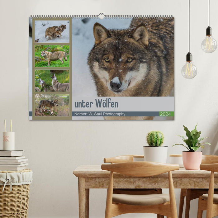 parmi les loups (calendrier mural CALVENDO 2024) 