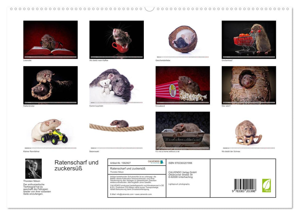 Rattenscharf und zuckersüß (CALVENDO Premium Wandkalender 2024)