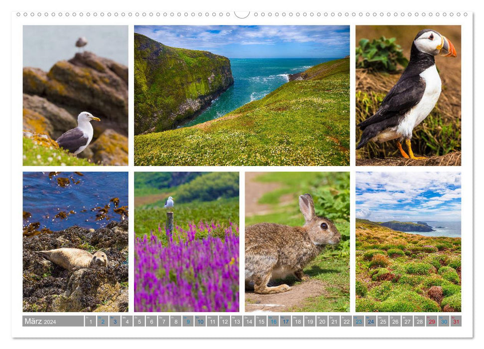 Longing for Wales - Collages of a Country (CALVENDO Wall Calendar 2024) 
