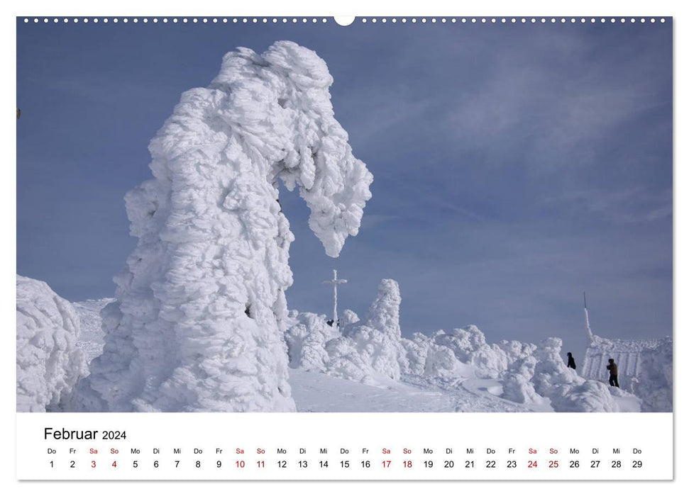 Croix au sommet de la forêt de Bohême (Calendrier mural CALVENDO Premium 2024) 