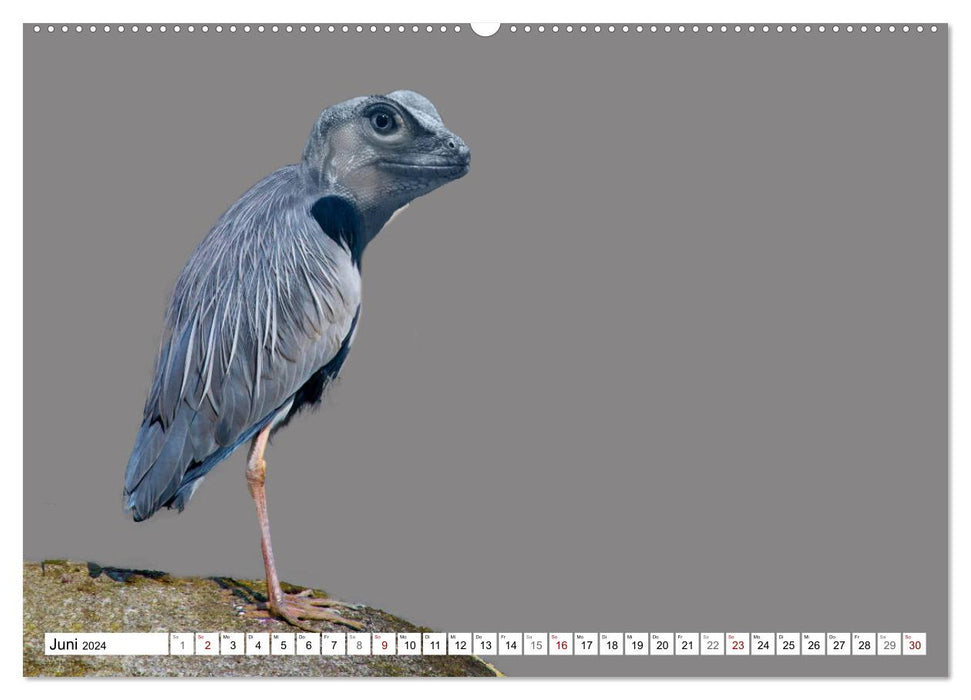 Lustige Tier-Hybriden (CALVENDO Wandkalender 2024)