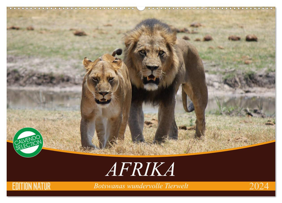 Afrique. La merveilleuse faune du Botswana (calendrier mural CALVENDO 2024) 