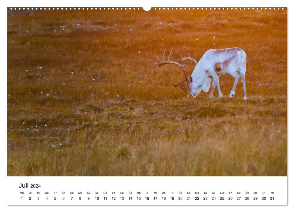 Scandinavie – Loin dans le Nord (Calvendo Premium Wall Calendar 2024) 
