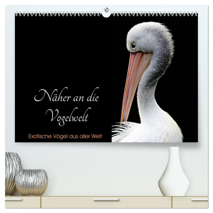 Plus près du monde des oiseaux - Oiseaux exotiques du monde entier (Calendrier mural CALVENDO Premium 2024) 