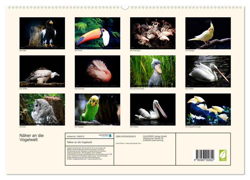 Plus près du monde des oiseaux - Oiseaux exotiques du monde entier (Calendrier mural CALVENDO Premium 2024) 