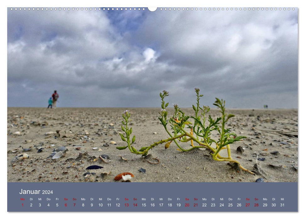 Norderney - Meine Trauminsel (CALVENDO Wandkalender 2024)