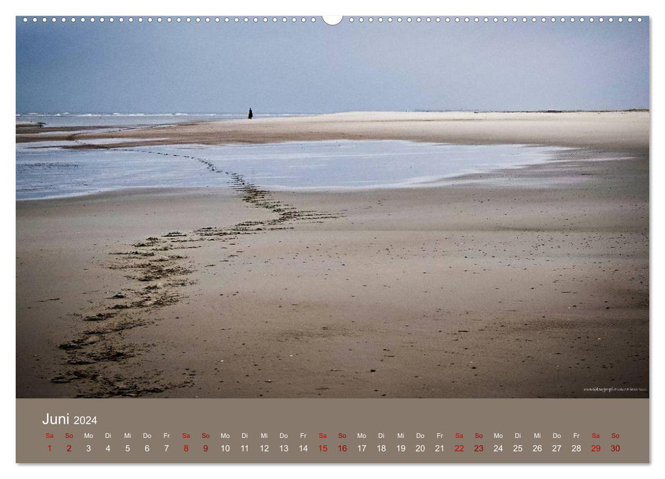 Norderney - Mon île de rêve (Calendrier mural CALVENDO 2024) 