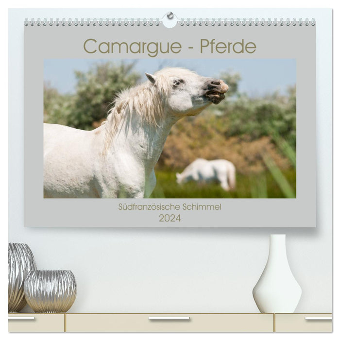 Chevaux de Camargue – Gris du sud de la France (Calvendo Premium Calendrier mural 2024) 