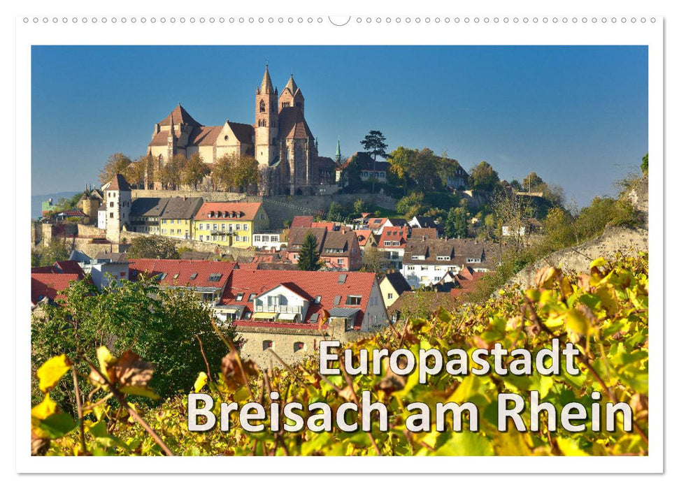 Ville européenne de Breisach am Rhein (calendrier mural CALVENDO 2024) 