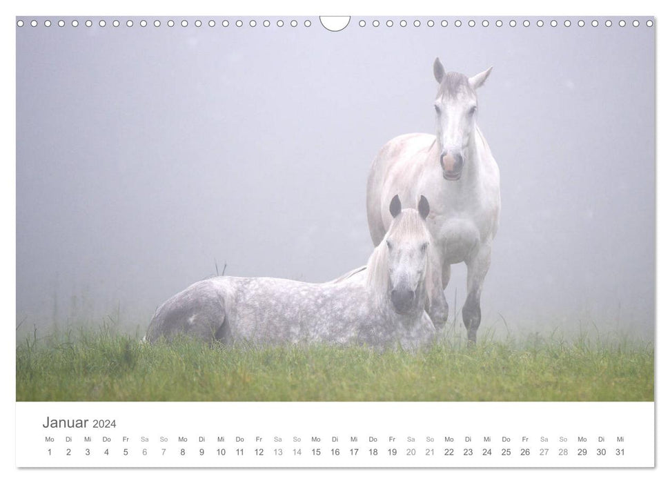 Chevaux de conte de fées (calendrier mural CALVENDO 2024) 