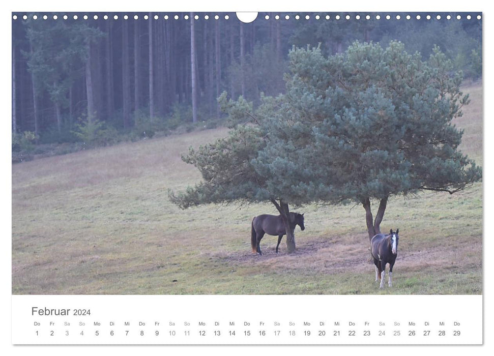 Chevaux de conte de fées (calendrier mural CALVENDO 2024) 