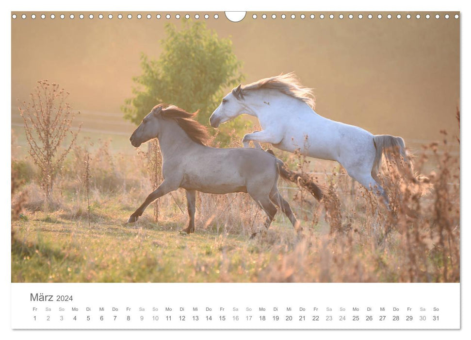 Chevaux de conte de fées (calendrier mural CALVENDO 2024) 