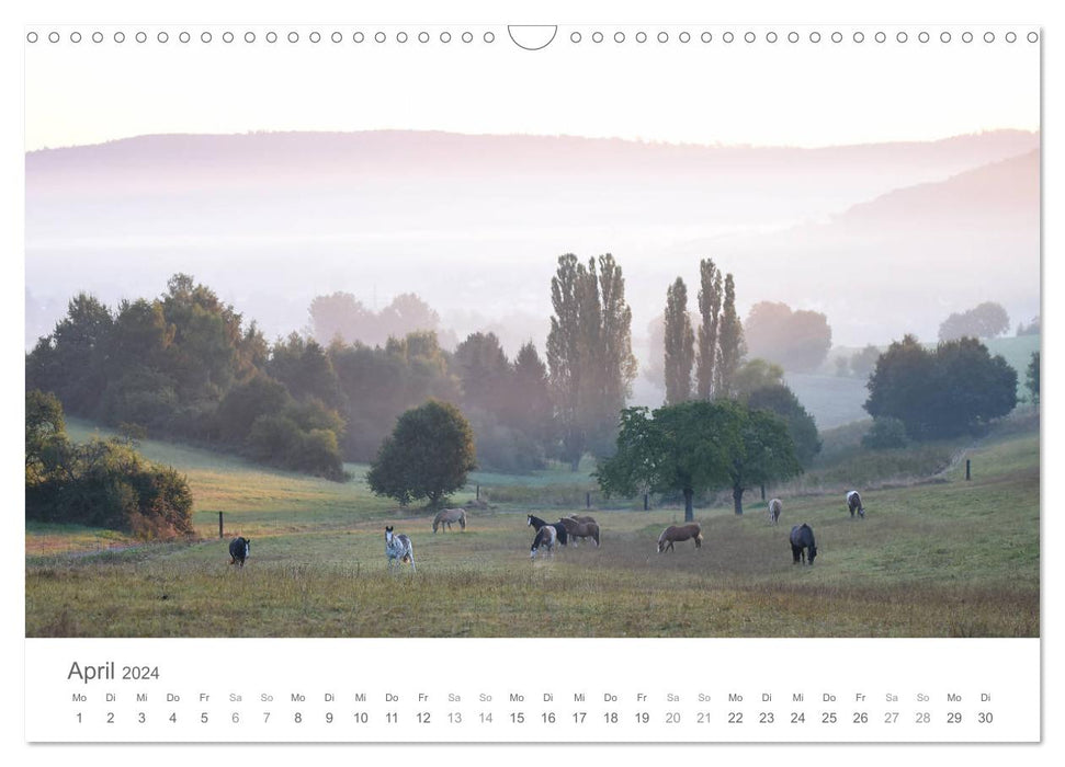 Chevaux de conte de fées (calendrier mural CALVENDO 2024) 