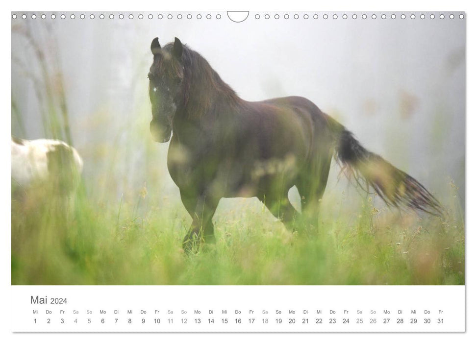 Chevaux de conte de fées (calendrier mural CALVENDO 2024) 