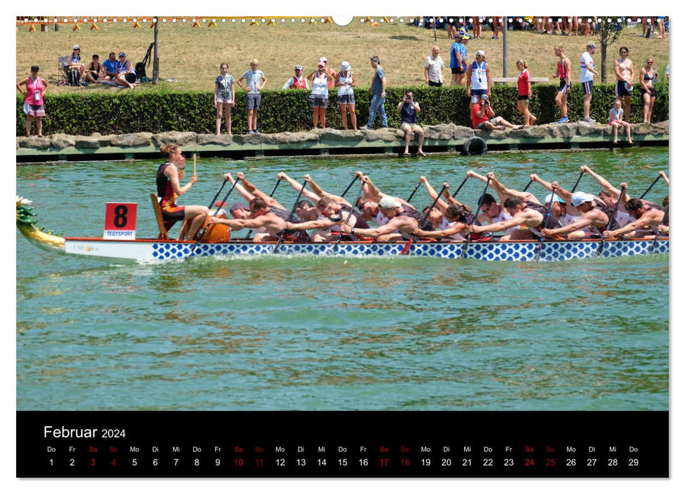 Dragon Boat - MissionRome (CALVENDO Wall Calendar 2024) 