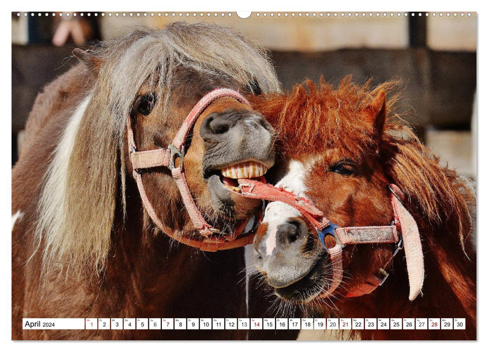 Lustige Tier-Selfies. Tierische Selbstportraits (CALVENDO Premium Wandkalender 2024)
