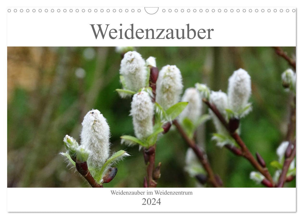 Weidenzauber (CALVENDO Wandkalender 2024)