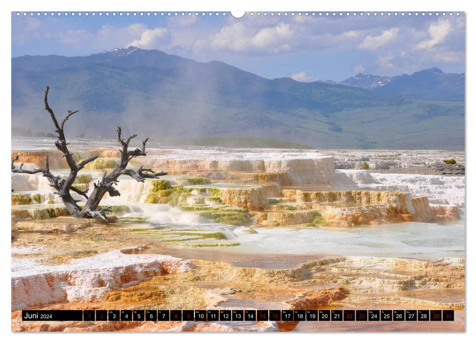 Yellowstone Nationalpark. Tanz auf dem Vulkan (CALVENDO Premium Wandkalender 2024)