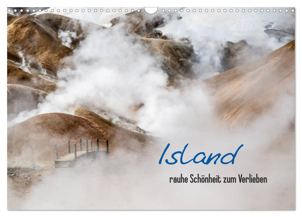 Islande - une beauté brute dont on peut tomber amoureux (calendrier mural CALVENDO 2024) 
