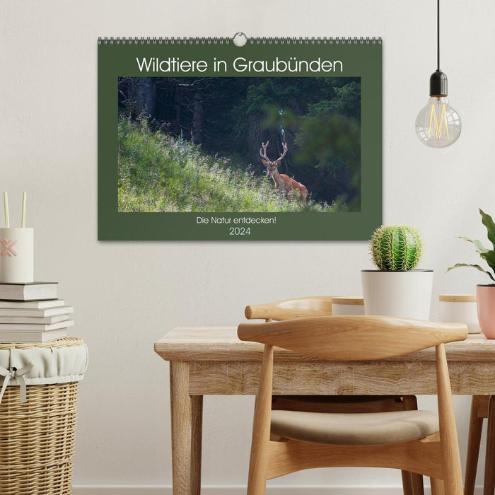 Wildtiere in Graubünden - Die Natur entdecken! (CALVENDO Wandkalender 2024)