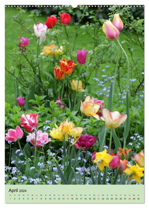 Le bonheur des fleurs. Une année de jardin fleuri (Calendrier mural CALVENDO Premium 2024) 