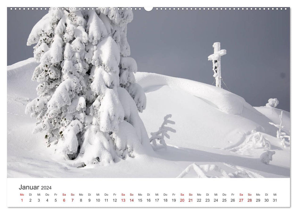 Croix sommitales dans la forêt de Bohême (calendrier mural CALVENDO 2024) 