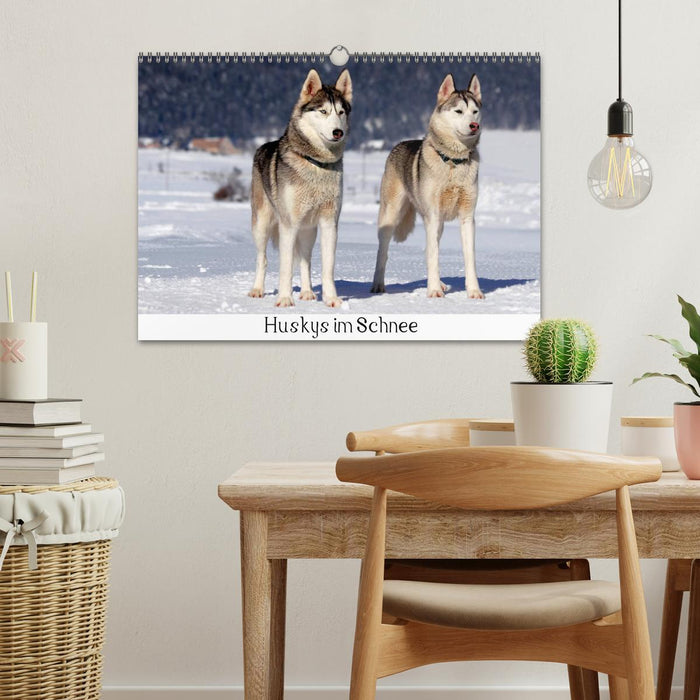 Huskies dans la neige (Calendrier mural CALVENDO 2024) 