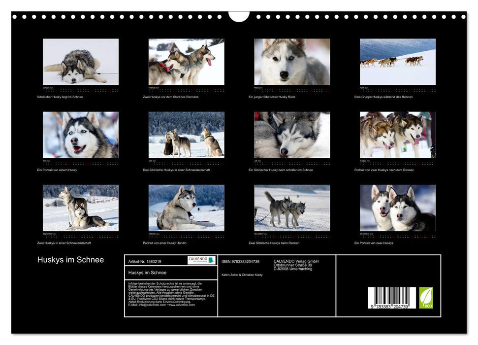 Huskies dans la neige (Calendrier mural CALVENDO 2024) 