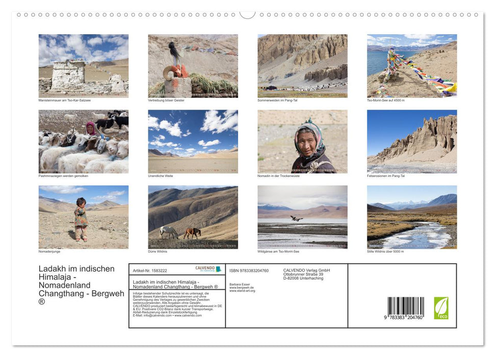 Ladakh dans l'Himalaya indien - terre nomade du Changthang - Bergweh ® (Calendrier mural Premium CALVENDO 2024) 