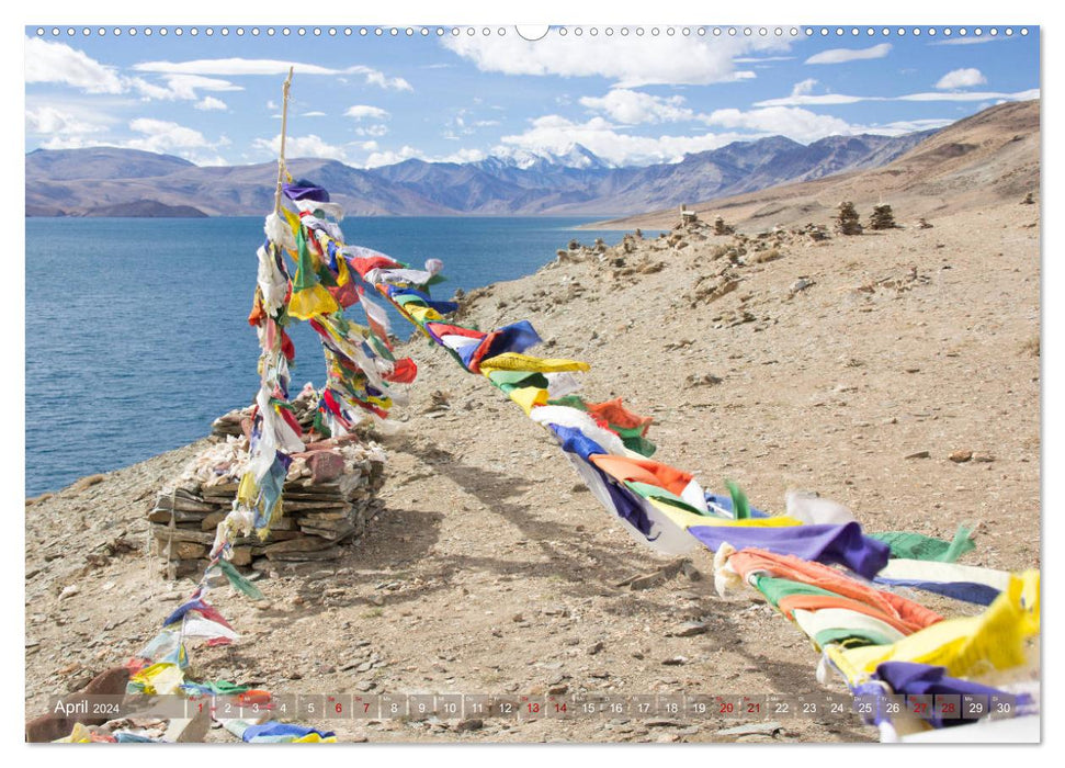 Ladakh dans l'Himalaya indien - terre nomade du Changthang - Bergweh ® (Calendrier mural Premium CALVENDO 2024) 