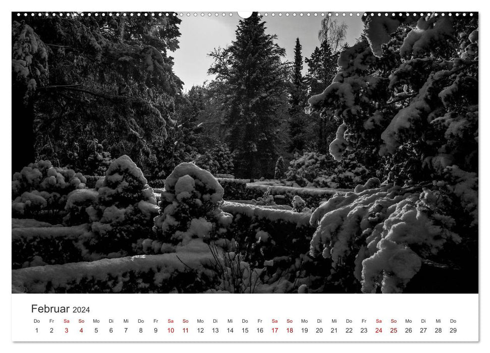 Kissed awake - The magic of the past - Südwestkirchhof Stahnsdorf (CALVENDO wall calendar 2024) 