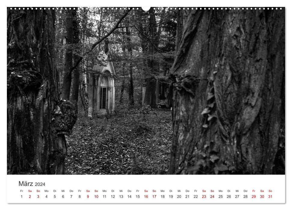 Kissed awake - The magic of the past - Südwestkirchhof Stahnsdorf (CALVENDO wall calendar 2024) 