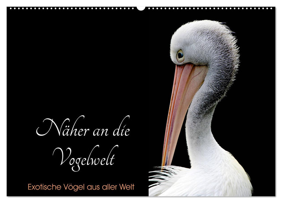 Näher an die Vogelwelt - Exotische Vögel aus aller Welt (CALVENDO Wandkalender 2024)