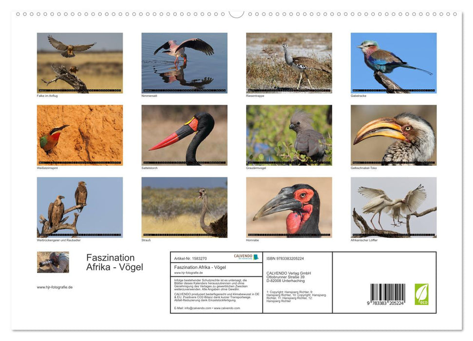 Fascination Africa – Oiseaux (Calvendo Premium Calendrier mural 2024) 