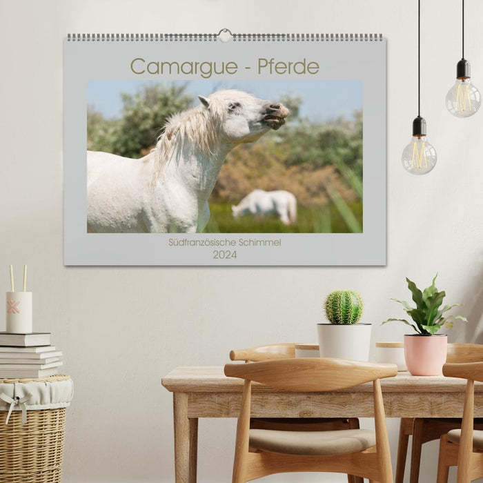 Camargue horses - southern French grays (CALVENDO wall calendar 2024) 