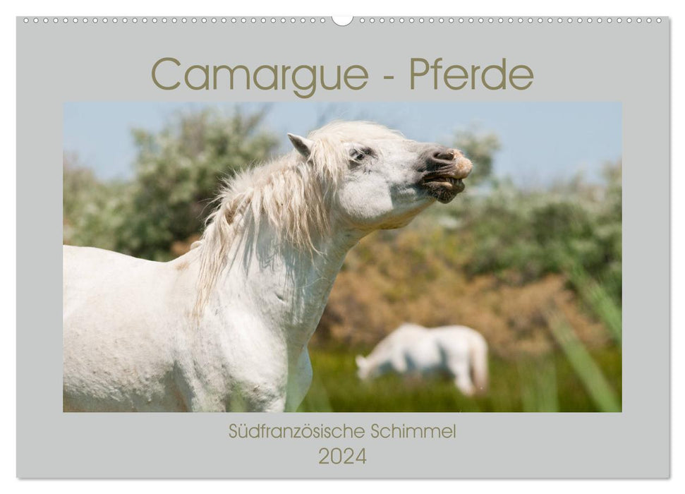 Camargue-Pferde - Südfranzösische Schimmel (CALVENDO Wandkalender 2024)