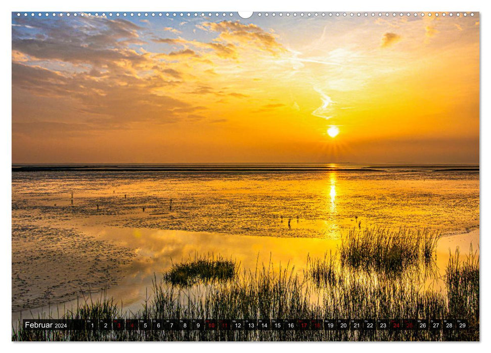 Mer des Wadden Mer du Nord - ambiances lumineuses entre terre et mer (Calendrier mural CALVENDO Premium 2024) 