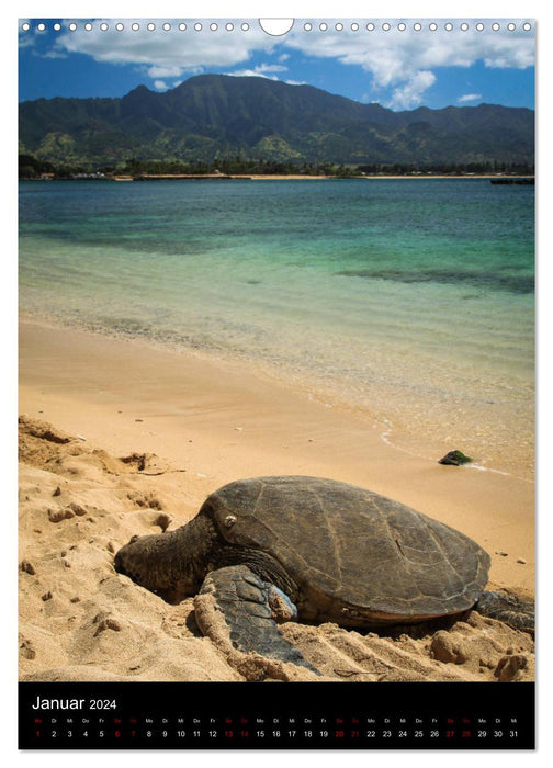 Hawaï - Rêve d'île dans le Pacifique (Calendrier mural CALVENDO 2024) 