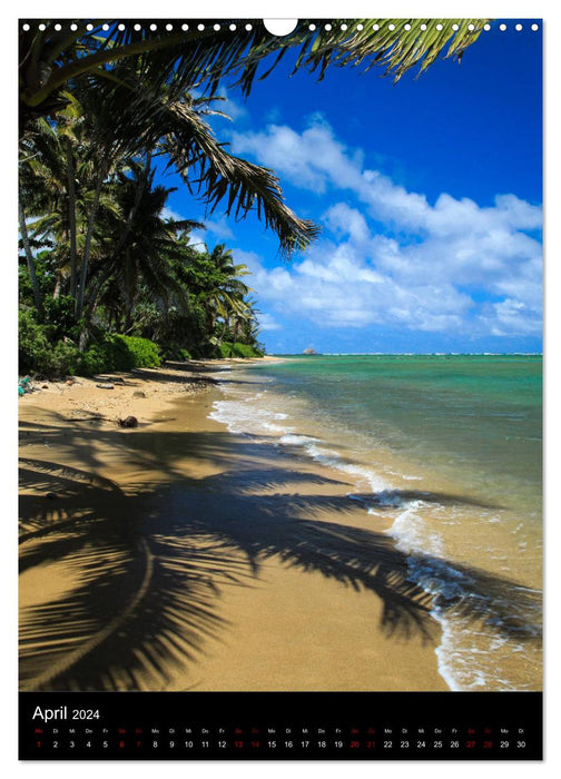 Hawaï - Rêve d'île dans le Pacifique (Calendrier mural CALVENDO 2024) 