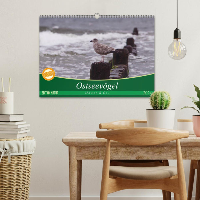 Baltic Sea Birds (CALVENDO Wall Calendar 2024) 