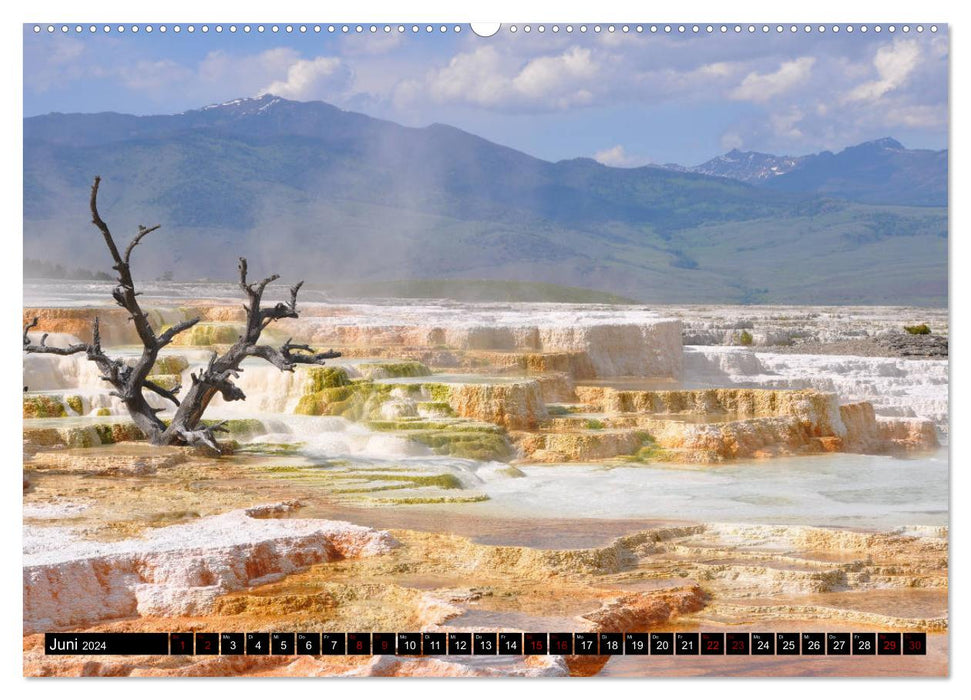 Le parc national de Yellowstone. Danse sur le volcan (Calendrier mural CALVENDO 2024) 