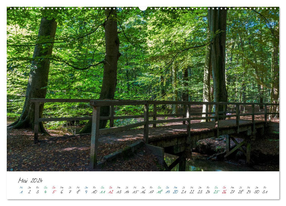 Delmenhorst photos de fin d'été (calendrier mural CALVENDO 2024) 