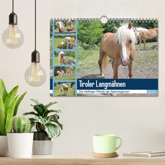 Tyrolean Long Mane (CALVENDO wall calendar 2024) 